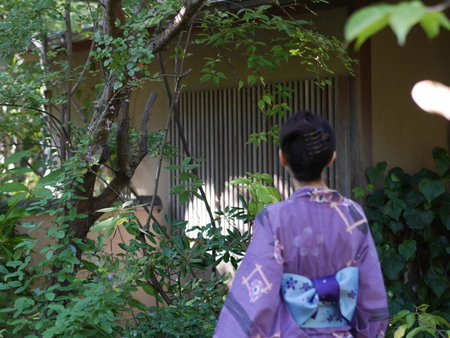 Nonohanatei komurasaki, Shimoda, Japan