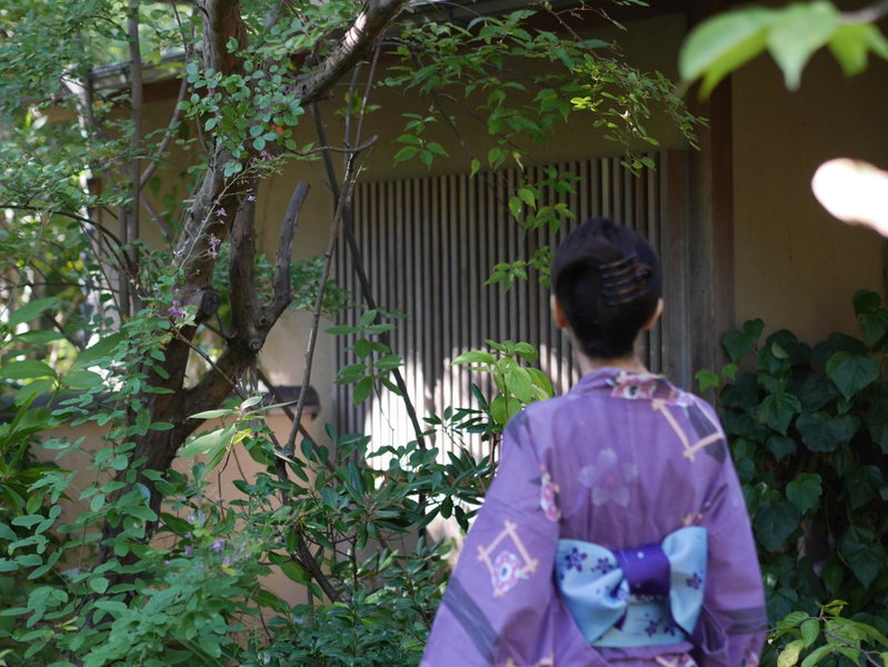 Nonohanatei komurasaki, Shimoda, Japan
