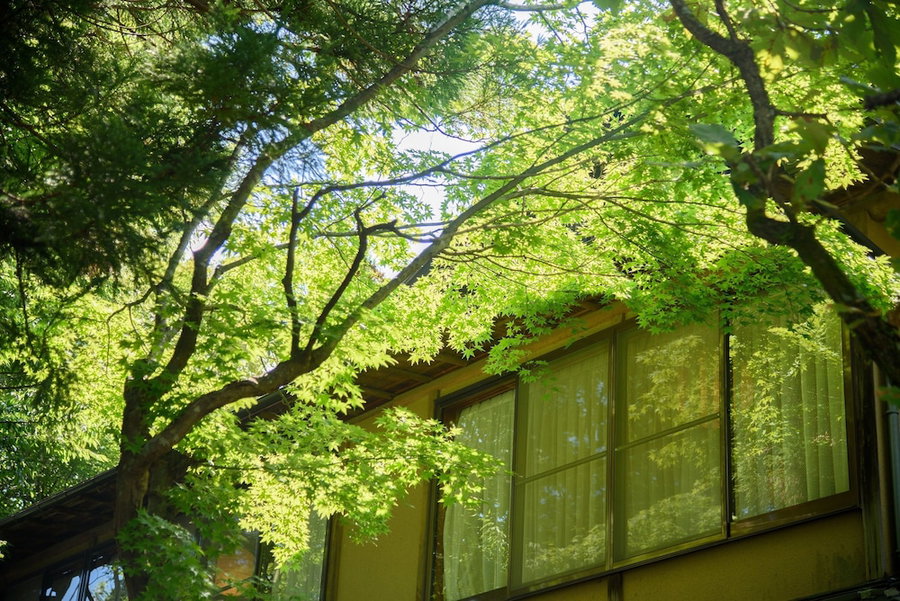 Musouen, Yufu, Japan