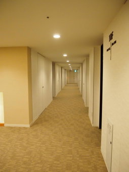 Hotel TAU, Kumamoto, Kumamoto, Japan