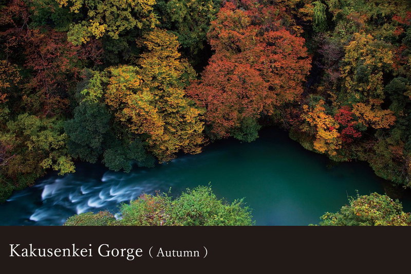 Yamanaka Onsen Kagari Kisshotei, Kaga, Japan