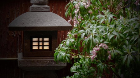 Machiya Kaemon, Kyoto, Japan