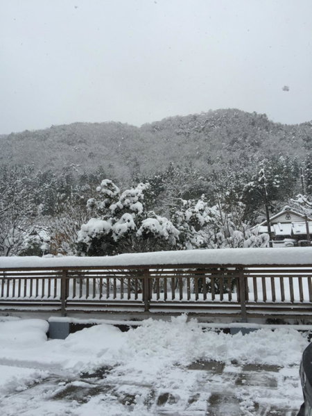 Fukunae House, Takeda, Japan