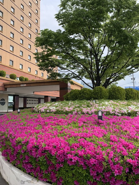 Hotel KOYO, Hashima, Japan