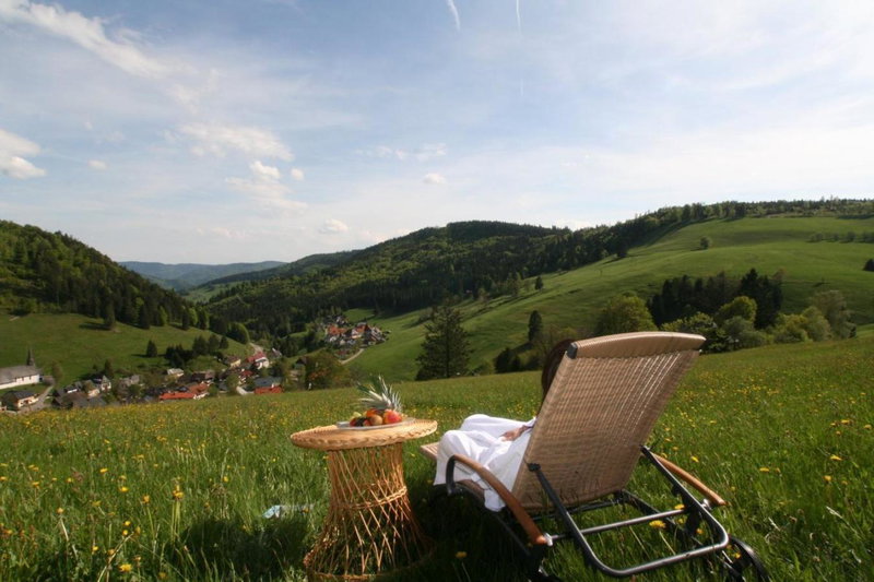 Grüner Baum Naturparkhotel & Schwarzwald-Restaurant, Todtnau, Germany