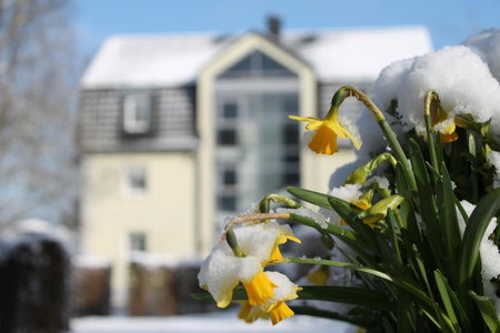 Hotel am Wallgraben, Brilon, Germany