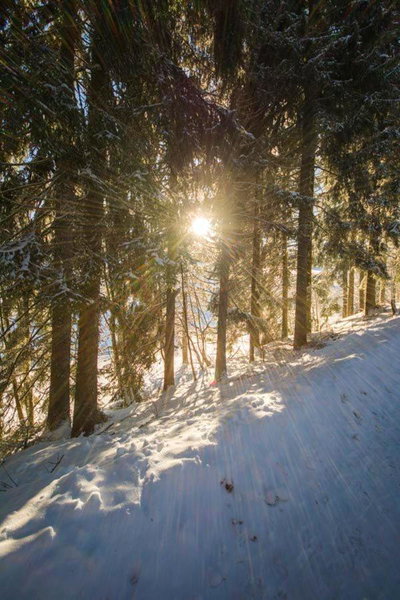 Hotel Adlerschanze, Schonwald im Schwarzwald, Germany
