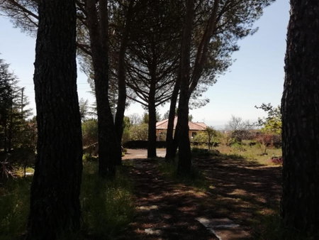 Etna Country Home, Nicolosi, Italy