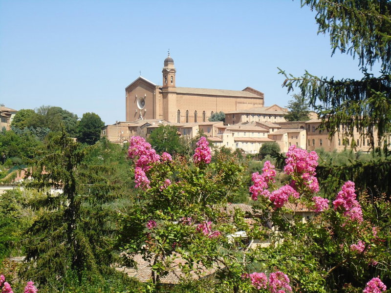 B&B Pantaneto - Palazzo Bulgarini, Siena, Italy