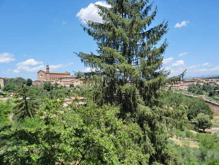 B&B Pantaneto - Palazzo Bulgarini, Siena, Italy