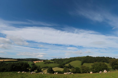 Upper Gelli Luxury Holiday Lodge, Converted Dairy & Cosy Shepherds Huts, Welshpool, United Kingdom