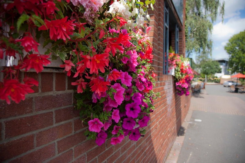 The Alexander Pope Hotel, Twickenham, United Kingdom