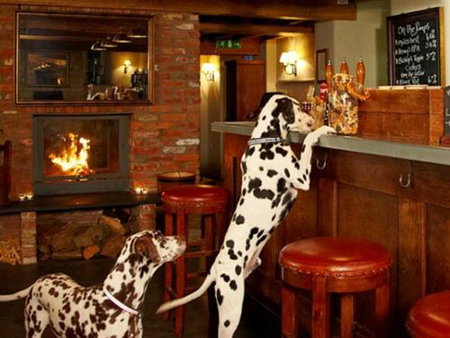 The Three Daggers, Edington, United Kingdom