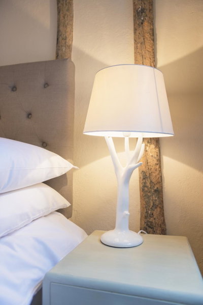 The Standard Inn, Rye, United Kingdom