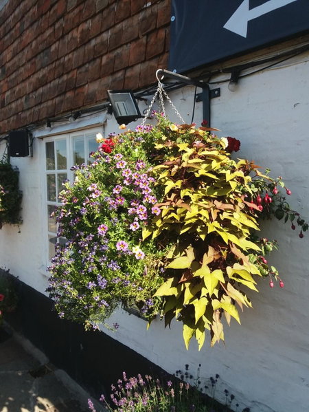 The Maidens Chambers, Canterbury, United Kingdom