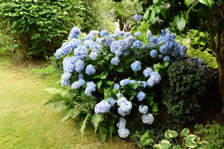 Cliftons Guest House, Truro, United Kingdom