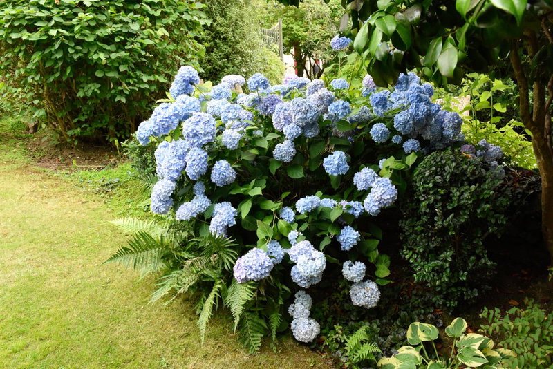 Cliftons Guest House, Truro, United Kingdom
