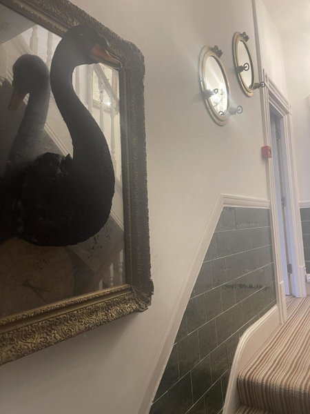 The Twenty One B&B, Brighton & Hove, United Kingdom