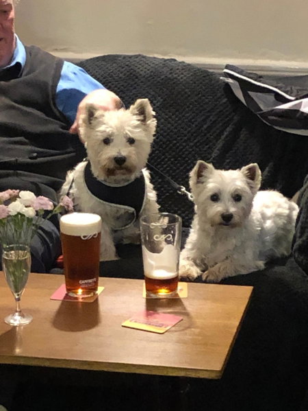 The Old Pound Inn, Langport, United Kingdom