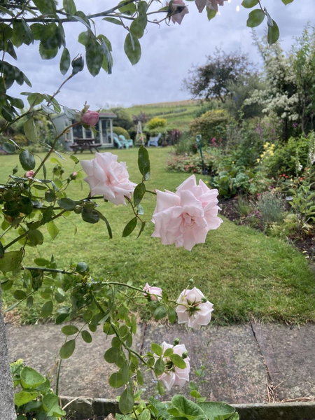 Wydon Farm Bed and Breakfast, Haltwhistle, United Kingdom