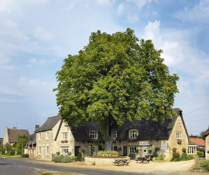 The Crown Inn, Peterborough, United Kingdom