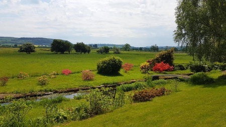 Upper Buckton B&B, Leintwardine, United Kingdom