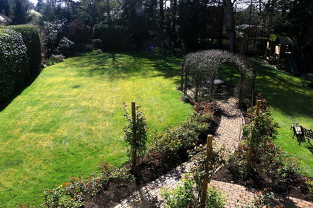 Dawyk Beech Guesthouse, Fleet, United Kingdom