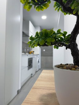 Apartamentos Lusitania Parking Gratis bajo disponibilidad, Merida, Spain