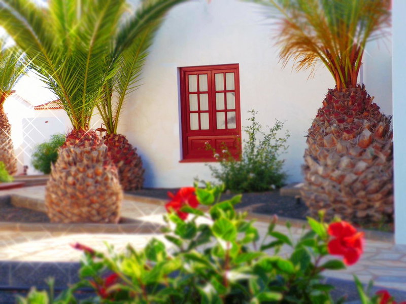 Bungalows Castillo Beach, Caleta De Fuste, Spain