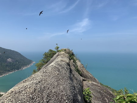 Havana Beach Resort, Ko Pha-ngan, Thailand