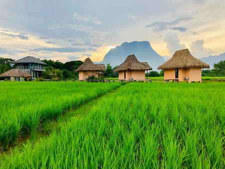 Baan Porhdoi Goidao, Chiang Dao, Thailand