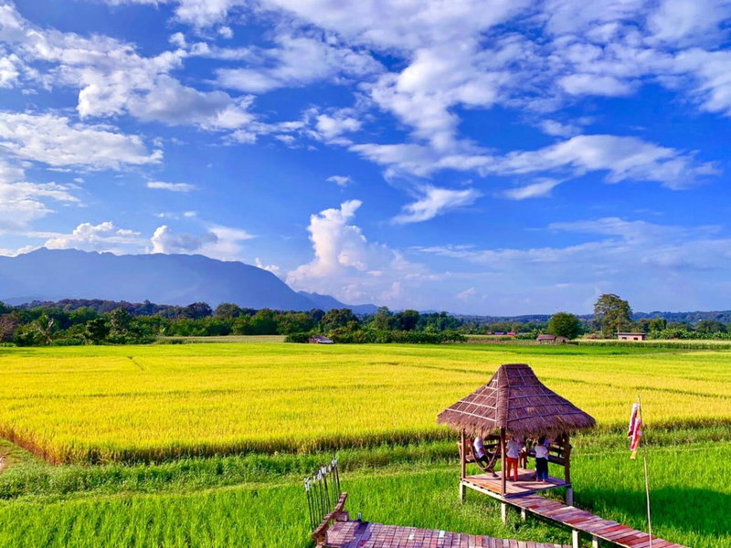 Baan Porhdoi Goidao, Chiang Dao, Thailand