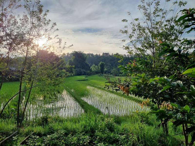 Nongtao Homestay, Chiang Mai, Thailand