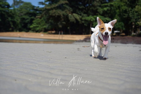 Villa Allure Koh Mak, Ko Mak, Thailand