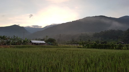 ฮ้างนาตาจันทร์, Pua, Thailand
