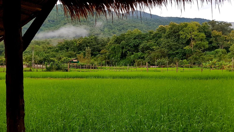 ฮ้างนาตาจันทร์, Pua, Thailand
