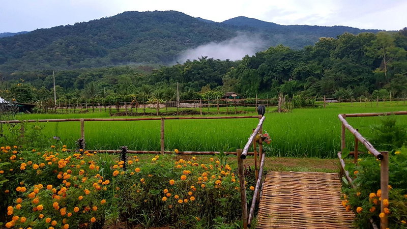 ฮ้างนาตาจันทร์, Pua, Thailand