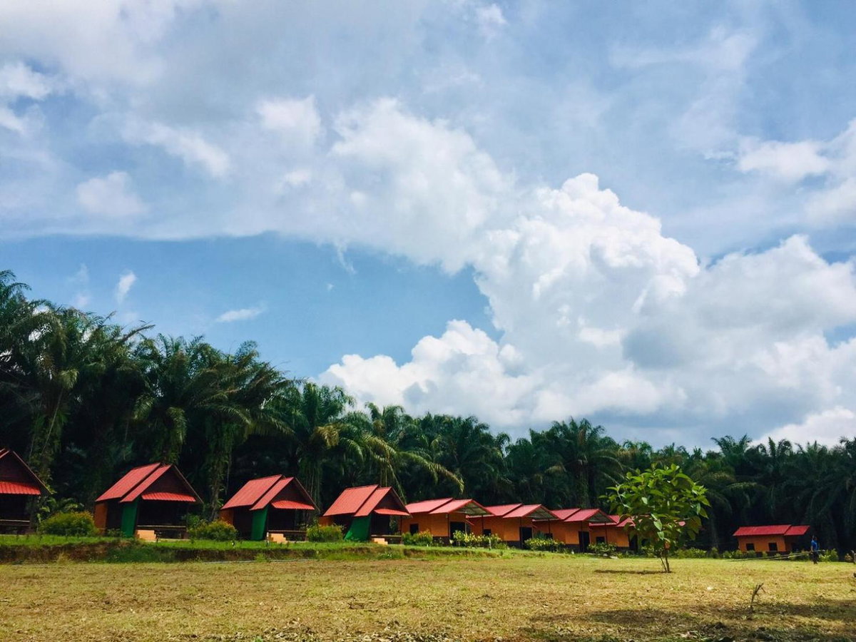 Hotel · Khao Sok Evergreen House, Khao Sok