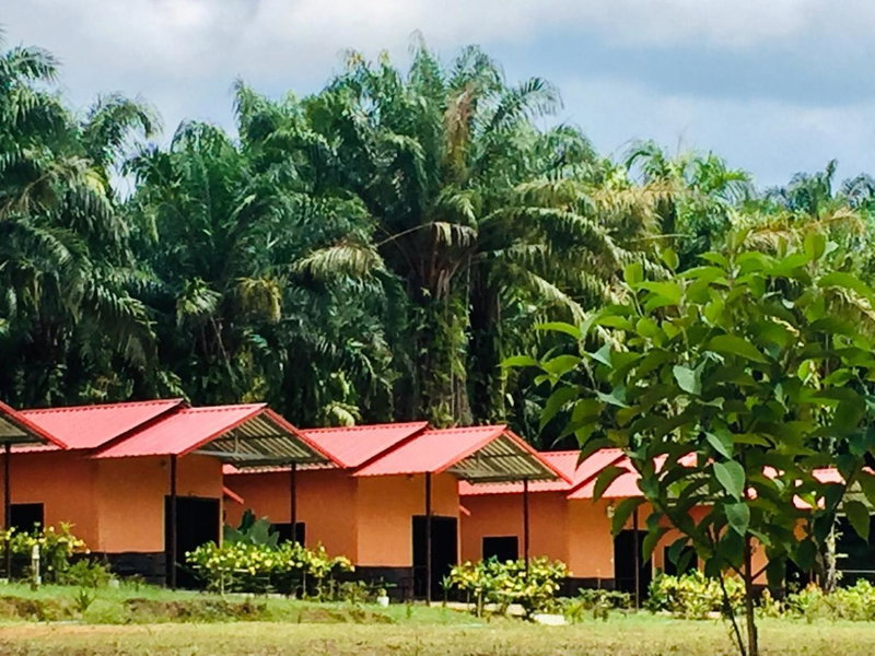 Khao Sok Evergreen House, Khao Sok, Thailand