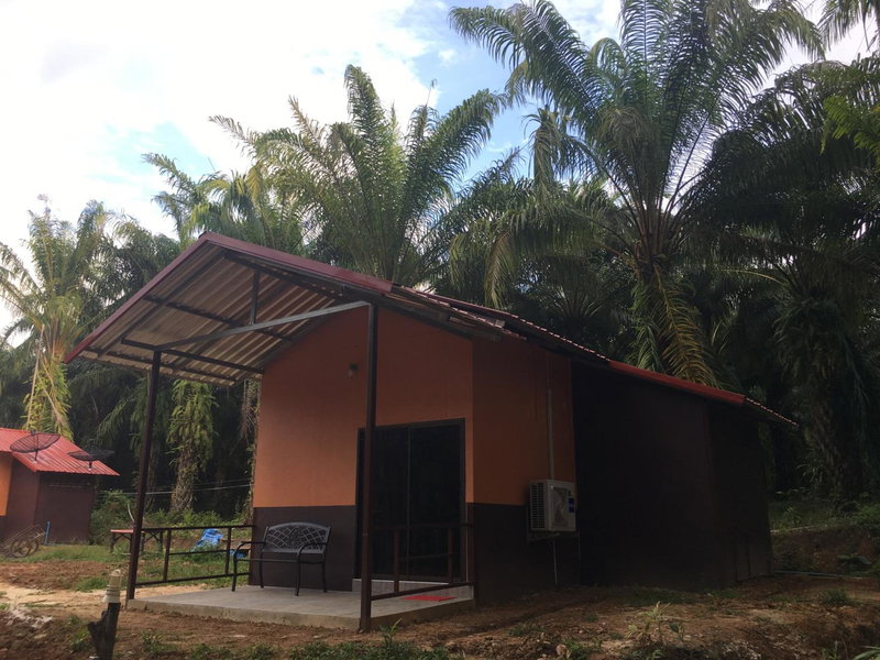 Khao Sok Evergreen House, Khao Sok, Thailand