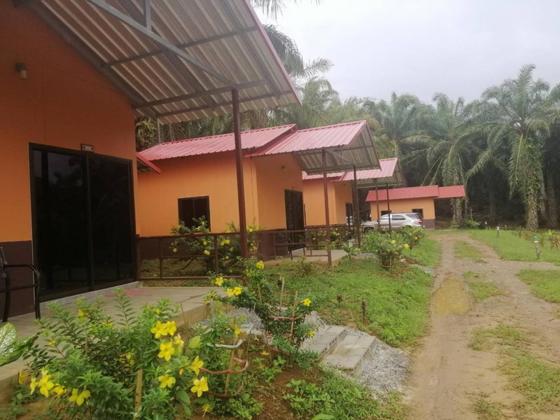 Khao Sok Evergreen House, Khao Sok, Thailand
