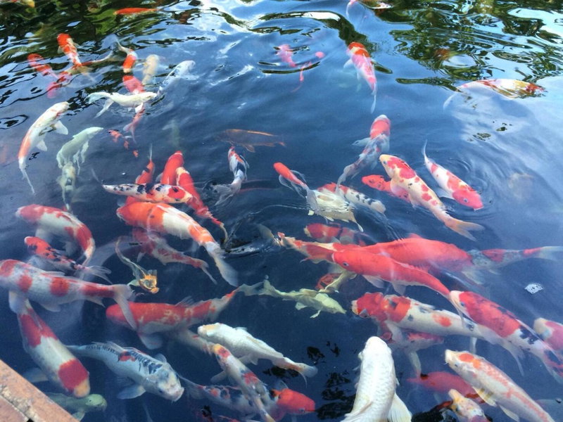 บ้านกรนรา Baan Kornnara, Amphawa, Thailand