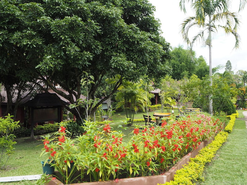 Ban Rai Tin Thai Ngarm Eco Lodge, Mae Rim, Thailand