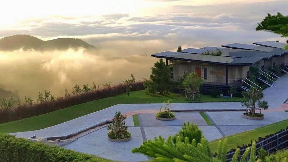 Pino Latte Khao Kho, Thailand