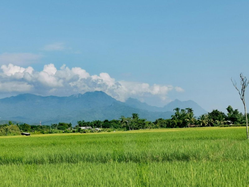 Ban Din Resort Chiang Rai, Mae Chan, Thailand