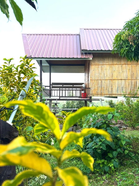 Doicherngngam Home stay, Chiang Dao, Thailand