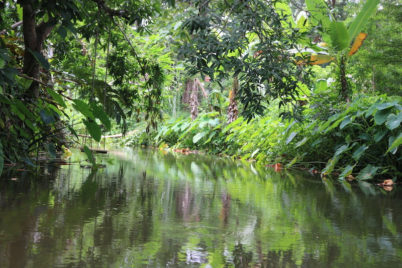 Ui Bai Valley, Nan, Thailand