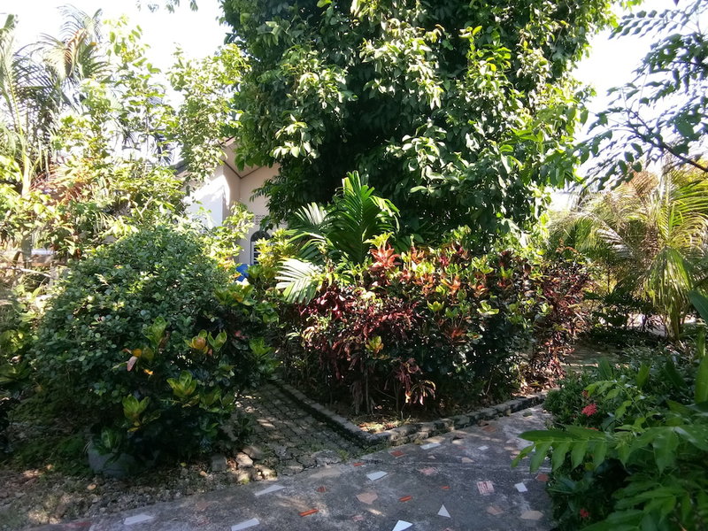 Baan Mek Lom, Thai Mueang, Thailand