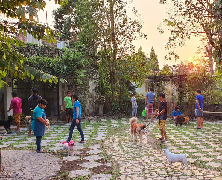 Ginger Bread House - Pet Lover Resort, Nakhon Nayok, Thailand