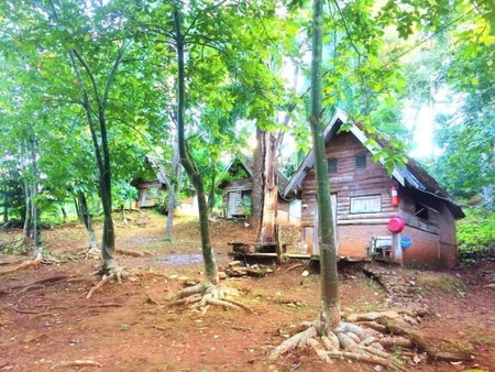Jungle guest house, Pangmapha, Thailand